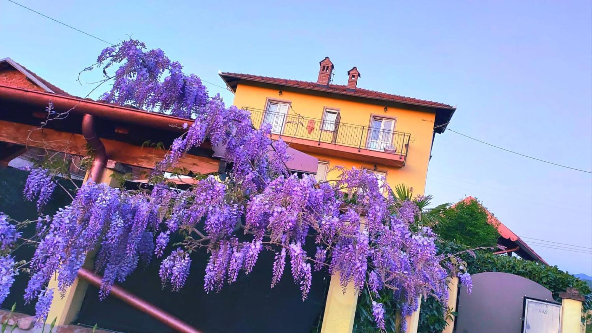 B&B Villa S Anna Hospitality Solutions Arquata Scrivia 外观 照片